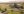 La Sierra University Landscape Placeholder